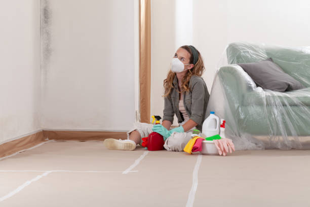 Reliable Crawl Space Mold Removal contractor in Lincolnshire, IL by WQB Mold Removal